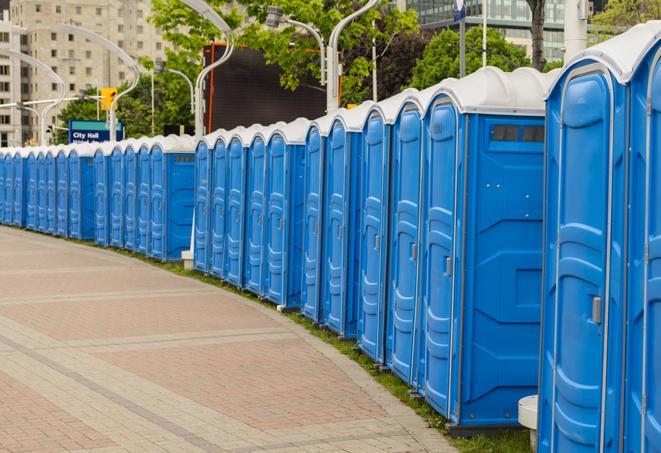 Seasonal porta potty units set up at a Maryville, Tennessee venue